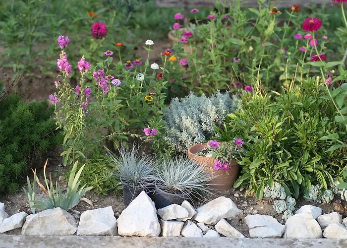 Kucica Ljubcek Privlaka